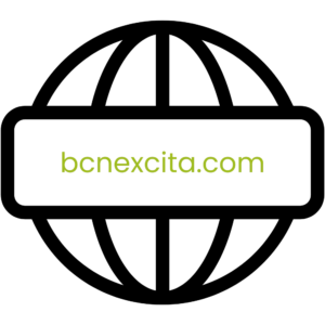 Dominio bcnexcita.com