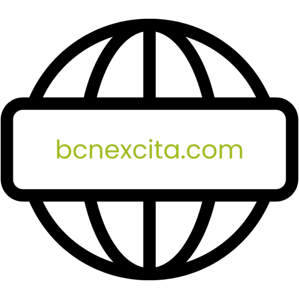 Dominio bcnexcita.com